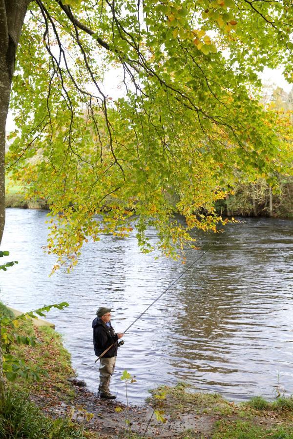 Braidhaugh Holiday Lodge And Glamping Park Crieff Eksteriør billede